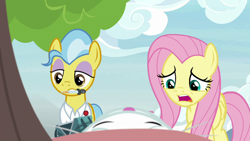 Size: 1920x1080 | Tagged: safe, screencap, angel bunny, doctor fauna, fluttershy, earth pony, pegasus, pony, g4, she talks to angel, body swap, concentrated carrot extract, eyedropper, female, mare, medical bag, mouth hold, worried