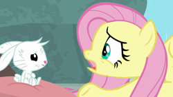 Size: 1920x1080 | Tagged: safe, screencap, angel bunny, fluttershy, pony, rabbit, g4, she talks to angel, animal, body swap, bruised, duo, female, male, mare, pillow