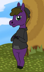 Size: 534x875 | Tagged: safe, artist:wyntermoon, oc, oc:wyntermoon, animal crossing, beanie, blushing, clothes, crossover, hat, hoodie, looking at you, male, stallion, talking to viewer, text, tree