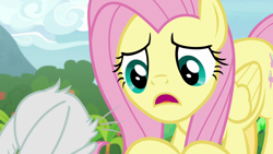 Size: 1920x1080 | Tagged: safe, screencap, angel bunny, fluttershy, pegasus, pony, g4, my little pony: friendship is magic, she talks to angel, animation error, body swap, female, mare