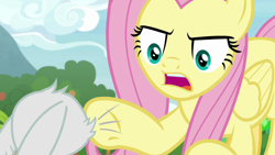 Size: 1920x1080 | Tagged: safe, screencap, angel bunny, fluttershy, pegasus, pony, g4, she talks to angel, angry, animation error, body swap, female, mare, pointing