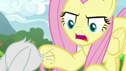 Size: 1920x1080 | Tagged: safe, screencap, angel bunny, fluttershy, pegasus, pony, g4, my little pony: friendship is magic, she talks to angel, angry, animation error, body swap, female, mare, pointing