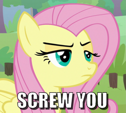 Size: 765x683 | Tagged: safe, fluttershy, pegasus, pony, g4, she talks to angel, caption, female, fluttershy is not amused, image macro, mare, meme, semi-vulgar, text, unamused