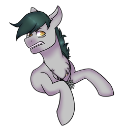 Size: 1374x1408 | Tagged: safe, artist:cinnerroll, oc, oc only, earth pony, pony, bust, simple background, solo, transparent background