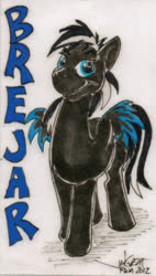 Size: 300x528 | Tagged: safe, artist:rabbi-tom, oc, oc only, pegasus, pony, commission, male, solo, stallion, traditional art