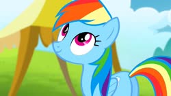 Size: 1280x720 | Tagged: safe, screencap, rainbow dash, pegasus, pony, g4, rainbow falls, butt, female, folded wings, plot, solo, wings