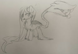 Size: 2674x1870 | Tagged: safe, artist:skulifuck, oc, oc only, original species, plant pony, augmented tail, chest fluff, fangs, freckles, hoof fluff, lineart, long hair, male, pirate, plant, scales, stallion, tongue out, traditional art