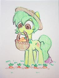 Size: 2848x3776 | Tagged: safe, artist:dawnfire, oc, oc only, earth pony, pony, basket, carrot, food, herbivore, high res, mouth hold, solo, traditional art