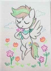 Size: 2681x3718 | Tagged: safe, artist:dawnfire, oc, oc only, pegasus, pony, flower, high res, solo, traditional art