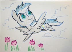 Size: 4096x2964 | Tagged: safe, artist:dawnfire, oc, oc only, pegasus, pony, flower, flying, solo, traditional art