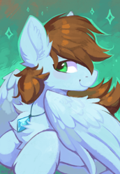Size: 1016x1476 | Tagged: safe, artist:hioshiru, oc, oc only, oc:sorren, pegasus, pony, fluffy, green eyes, jewelry, looking at you, male, necklace, pegasus oc, pose, solo, stallion