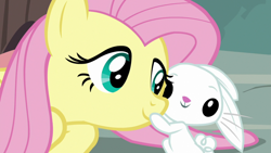 Size: 1920x1080 | Tagged: safe, screencap, angel bunny, fluttershy, pony, rabbit, g4, she talks to angel, 1080p, angelbetes, animal, cute, duo, female, male, mare, shyabetes