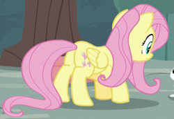 Size: 709x489 | Tagged: safe, screencap, angel bunny, fluttershy, pegasus, pony, g4, she talks to angel, butt, cropped, female, mare, plot