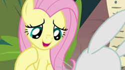 Size: 1920x1080 | Tagged: safe, screencap, angel bunny, fluttershy, pegasus, pony, rabbit, g4, she talks to angel, 1080p, animal, cute, duo, female, hoof on chest, looking at each other, looking down, mare, master and pet, raised hoof, reconciliation, shyabetes, smiling, solo focus, talking, whiskers