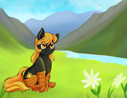 Size: 3300x2550 | Tagged: safe, artist:coffiheart, oc, oc only, oc:golden glory, earth pony, pony, clothes, flower, high res, scenery, sitting, smiling, socks, solo, striped socks