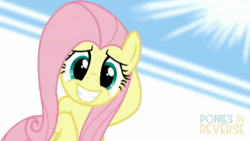 Size: 854x480 | Tagged: safe, artist:reverse studios, edit, fluttershy, pony, g4, :3, animated, cute, eyes closed, female, grin, happy, mare, music, open mouth, shyabetes, smiling, solo, sound, webm, wings