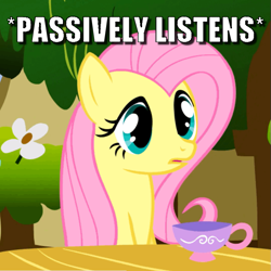 Size: 673x672 | Tagged: safe, edit, edited screencap, screencap, fluttershy, pony, g4, stare master, caption, cropped, cup, female, image macro, meme, solo, teacup, text