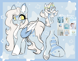 Size: 2730x2154 | Tagged: safe, artist:missclaypony, oc, oc only, pegasus, pony, female, high res, mare, moodboard, reference sheet, solo, two toned wings, wings