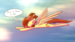 Size: 3265x1837 | Tagged: safe, artist:piemations, oc, oc only, oc:pen, pegasus, pony, clothes, flying, scarf, solo, speech bubble, striped scarf, this will end in death, this will end in tears, this will end in tears and/or death