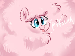 Size: 1600x1200 | Tagged: safe, artist:oofycolorful, oc, oc only, oc:fluffle puff, pony, g4, cute, excessive fluff, eye clipping through hair, female, flufflebetes, mare, maximum overfloof, ocbetes, raspberry, raspberry noise, solo, tongue out