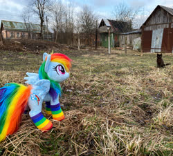 Size: 3348x3024 | Tagged: safe, artist:epicrainbowcrafts, rainbow dash, cat, pony, g4, clothes, high res, irl, photo, plushie, rainbow socks, russia, socks, solo, striped socks