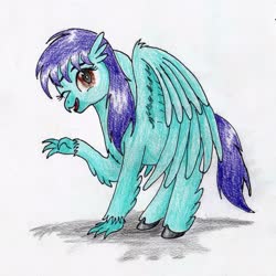 Size: 2099x2095 | Tagged: safe, artist:40kponyguy, derpibooru exclusive, oc, oc only, oc:redsky, hippogriff, high res, hippogriff oc, looking at you, one eye closed, raised claw, simple background, solo, spread wings, traditional art, wings
