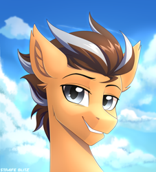 Size: 1700x1870 | Tagged: safe, artist:strafe blitz, oc, oc only, oc:brightsky wing, pony, bust, looking at you, male, smiling, solo, stallion