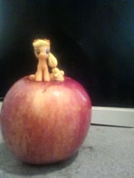 Size: 1200x1600 | Tagged: safe, applejack, earth pony, pony, g4, apple, food, giant apple, irl, photo, sitting, tiny, tiny ponies, toy