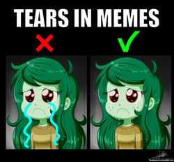 Size: 1500x1390 | Tagged: safe, artist:the-butch-x, wallflower blush, equestria girls, g4, :c, crying, female, freckles, frown, meme, sad, solo, teary eyes, tutorial
