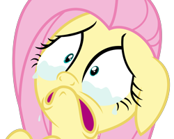 Size: 5000x4000 | Tagged: safe, artist:spencethenewbie, fluttershy, pegasus, pony, filli vanilli, absurd resolution, crying, ears back, faic, female, fluttercry, scared, simple background, solo, tears of fear, teary eyes, transparent background, vector