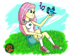 Size: 3000x2300 | Tagged: safe, artist:darkprinceismyname, fluttershy, bird, equestria girls, g4, clothes, cloud, high res, sitting, sky, sleeveless, tank top