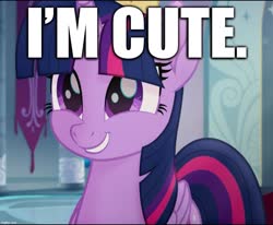 Size: 995x821 | Tagged: safe, edit, edited screencap, screencap, twilight sparkle, alicorn, pony, g4, my little pony: the movie, bronybait, captain obvious, caption, cropped, cute, i'm cute, image macro, smiling, text, truth, twiabetes, twilight sparkle (alicorn)