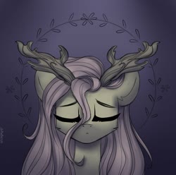 Size: 1501x1489 | Tagged: safe, artist:radioaxi, part of a set, fluttershy, pony, g4, antlers, branches for antlers, bust, eyes closed, female, front view, full face view, mare, portrait, solo, stray strand