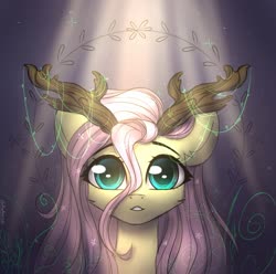 Size: 1501x1489 | Tagged: safe, artist:radioaxi, part of a set, fluttershy, pony, g4, antlers, branches for antlers, bust, crepuscular rays, female, front view, full face view, light, looking at you, mare, portrait, solo, stray strand