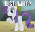 Size: 450x405 | Tagged: safe, edit, edited screencap, screencap, rarity, pony, unicorn, dragonshy, g4, season 1, caption, cropped, female, image macro, meme, raised hoof, reaction image, solo, text