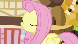 Size: 1920x1080 | Tagged: safe, screencap, angel bunny, fluttershy, pegasus, pony, g4, she talks to angel, body swap, eyes closed, female, mare, sniffing