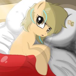 Size: 800x800 | Tagged: safe, artist:grithcourage, artist:johnjoseco, oc, oc only, oc:grith courage, earth pony, pony, adorable face, bedroom, cute, morning ponies, solo, trace, waking up, watermark