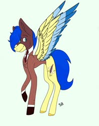Size: 1615x2048 | Tagged: artist needed, safe, oc, oc only, oc:aiding assistant, pegasus, pony, male, photo, raised hoof, red spy, simple background, solo, stallion, team fortress 2, white background