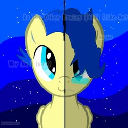 Size: 768x768 | Tagged: safe, artist:lime_drop_mlp, oc, oc only, oc:aiding assistant, pegasus, pony, male, night, photo, solo, stallion