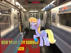Size: 3264x2448 | Tagged: safe, artist:topsangtheman, cloud kicker, pegasus, pony, g4, coronavirus, covid-19, face mask, high res, irl, looking at you, new york city, new york city subway, photo, ponies in real life