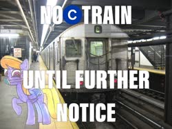 Size: 2048x1536 | Tagged: safe, artist:topsangtheman, cloud kicker, pegasus, pony, g4, c train, coronavirus, covid-19, irl, looking at you, n95, new york city, new york city subway, photo, ponies in real life, ppe, r32