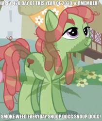 Size: 333x396 | Tagged: artist needed, source needed, safe, edit, edited edit, edited screencap, screencap, tree hugger, earth pony, pony, g4, make new friends but keep discord, season 5, 420, bandana, bushy brows, caption, clothes, cropped, cutie mark, drugs, exclamation point, eyebrows, female, flower, image macro, lyrics, mare, marijuana, marijuana leaf, meme, nostrils, numbers, outdoors, ponyville, snoop dogg, solo, song, song reference, standing, symbol, text, text edit, tree, weed filter