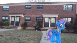 Size: 5952x3348 | Tagged: safe, artist:topsangtheman, rain dancer, pegasus, pony, g4, house, irl, looking at you, photo, ponies in real life, solo, traditional art