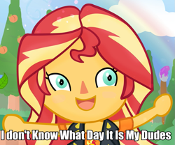 Size: 945x788 | Tagged: safe, artist:invisibleink, sunset shimmer, equestria girls, g4, animal crossing, caption, chibi, clothes, female, image macro, meme, paintbrush, painting, solo, text