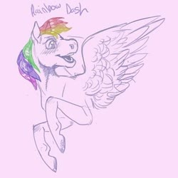 Size: 456x456 | Tagged: safe, alternate version, artist:morbidfawn, rainbow dash, pegasus, pony, g4, bust, female, mare, partial color, smiling, solo, traditional art