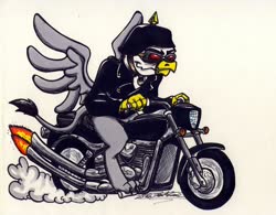 Size: 1024x798 | Tagged: safe, artist:sketchywolf-13, oc, oc only, griffon, clothes, commission, fire, goggles, griffon oc, harley davidson, helmet, jacket, leather jacket, male, motorcycle, riding, simple background, smoke, solo, tail, traditional art, white background, wings