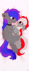 Size: 1608x3928 | Tagged: safe, artist:php146, oc, oc only, pegasus, pony, unicorn, body pillow, body pillow design, female, male, mare, stallion