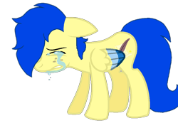 Size: 852x636 | Tagged: safe, artist:assistantaiding, oc, oc only, oc:aiding assistant, pegasus, pony, crying, photo, simple background, solo, transparent background