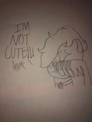 Size: 1536x2048 | Tagged: safe, artist:assistantaiding, oc, oc only, oc:aiding assistant, pegasus, pony, blushing, i'm not cute, photo, sketch, solo, traditional art