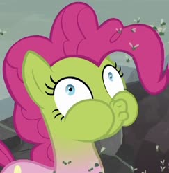 Size: 878x905 | Tagged: source needed, safe, screencap, pinkie pie, fly, insect, pony, g4, school raze, cropped, female, green face, mare, nauseous face, puffy cheeks, pukie pie, sick, solo